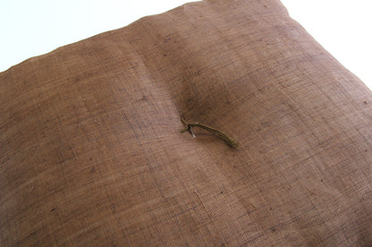 Brown (Kakishibu)