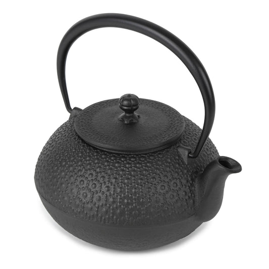 Cast Iron Teapot Tetsubin Tea Kettle Nambu Tekki