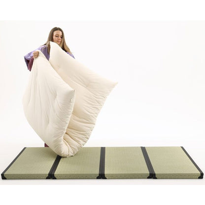 Smart Tatami Lounge