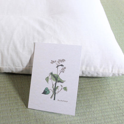 Japanese Buckwheat Pillow, Soba Hulls Pillow, Adjustable Height, Organic Fabric NC