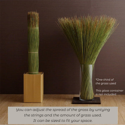 Tatami Grass - Deodorizing Room Decoration Tatamino Moto